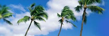 Get cheap car insurance is a breeze